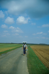 Walking on a French Rural Road