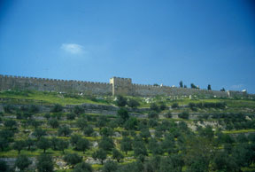 The Old Jerusalem City Wall and the Golden Gate